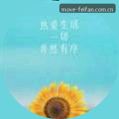 刘洋